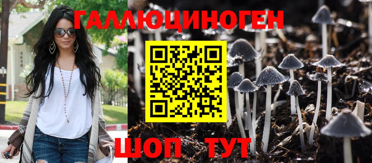 Галлюциногенные грибы Cubensis  Вход с VPN  дарнет шоп  Моршанск  Галлюциногенные грибы Psilocybe 